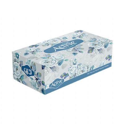 Active Facial Tissue 150 × 2ply tissues 48 packs - Spring Wonder Series
